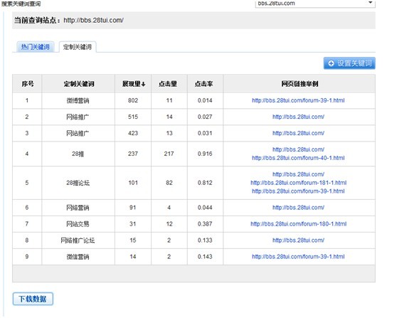 咨询网站优化